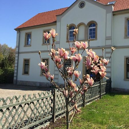 Stara Szkola Debowy Gaj The Old School Debowy Gaj Bed & Breakfast Lwowek Slaski Bagian luar foto
