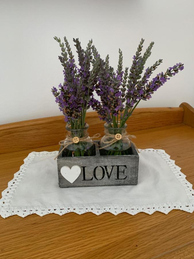 Stara Szkola Debowy Gaj The Old School Debowy Gaj Bed & Breakfast Lwowek Slaski Bagian luar foto